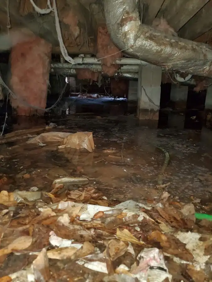 Crawl space flood assessment for Leak Detection & Repair in Mayville