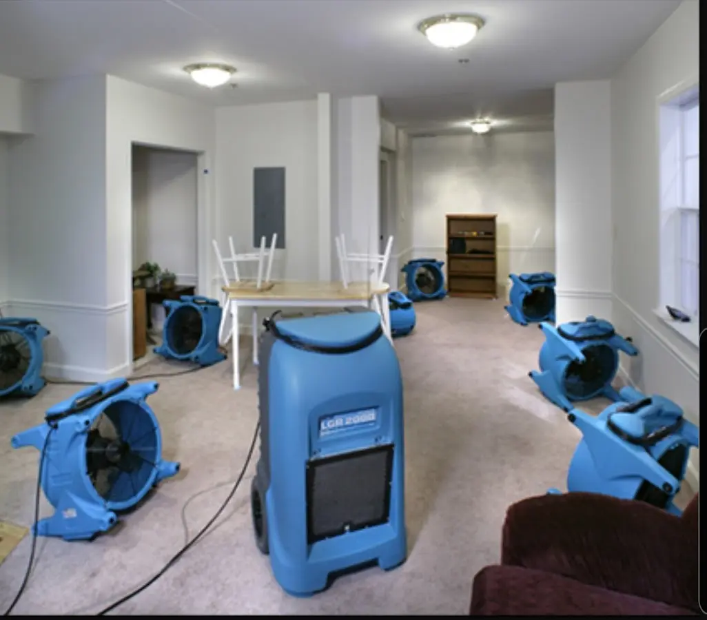 Air movers and dehumidifier setup for Water Extraction & Removal in Mayville